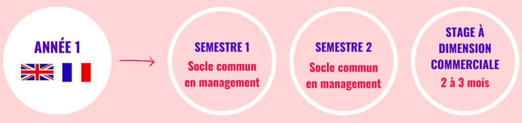 tbs education bachelor parcours annee 1 schema