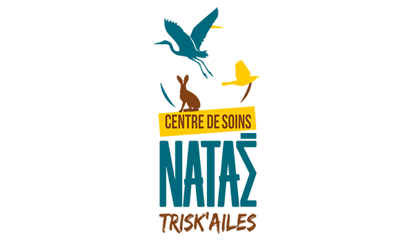 eco award 2024 projet association centredesoins natae logo